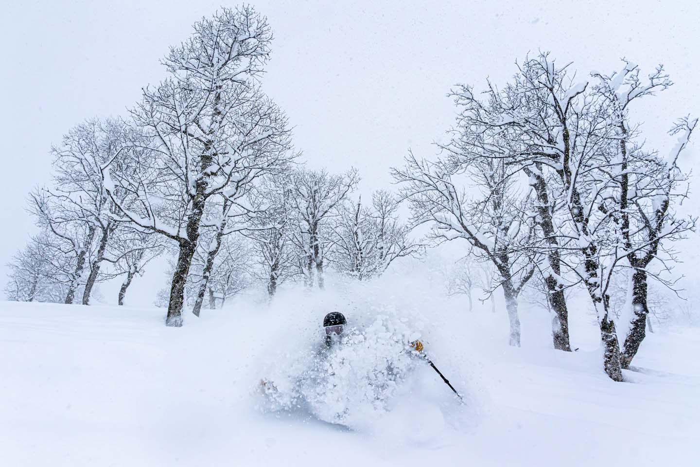 © Anton Thorin, Sweden, entry, Open Competition, Motion, 2026 Sony World Photography Awards