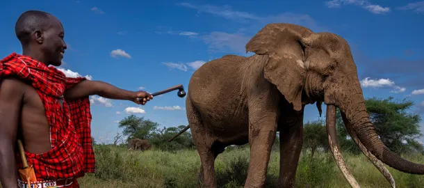 Natura e fauna selvatica